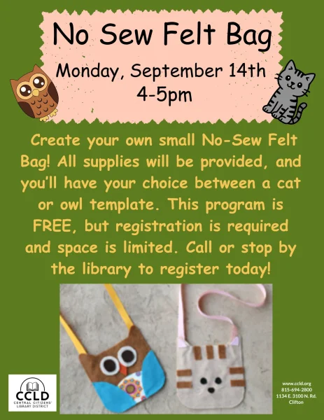 No Sew Felt Bag