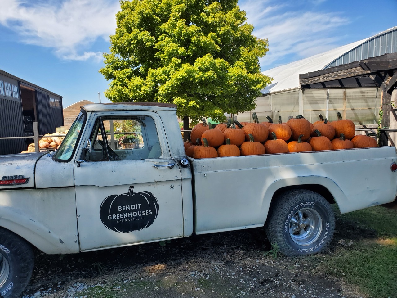 Fall photo scenes at Benoit Greenhouses in Kankakee County featuring an antique truck filled with pumpkins, colorful mums for sale, and a cozy farm market with small pumpkins, coffee, and donuts.