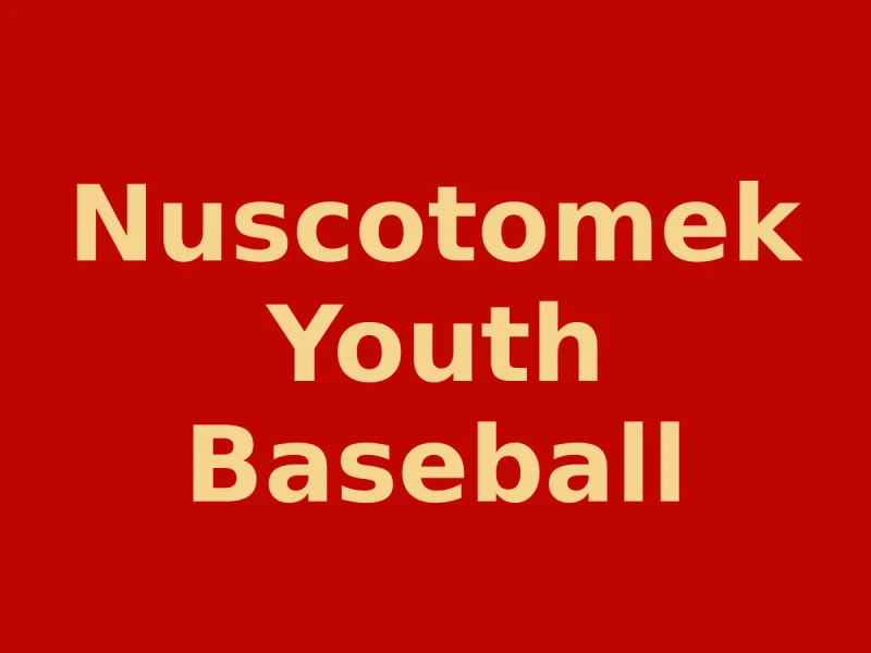 Nuscotomek Youth Baseball