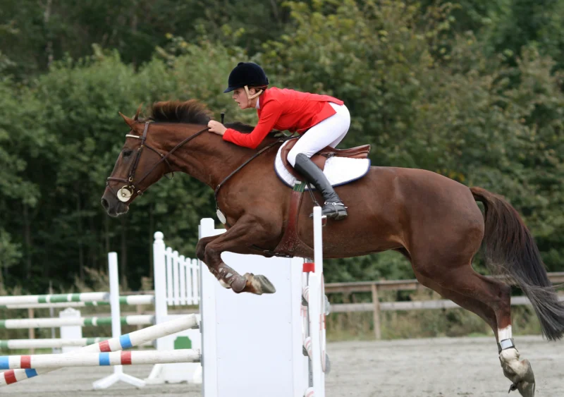 Horseback Riding
