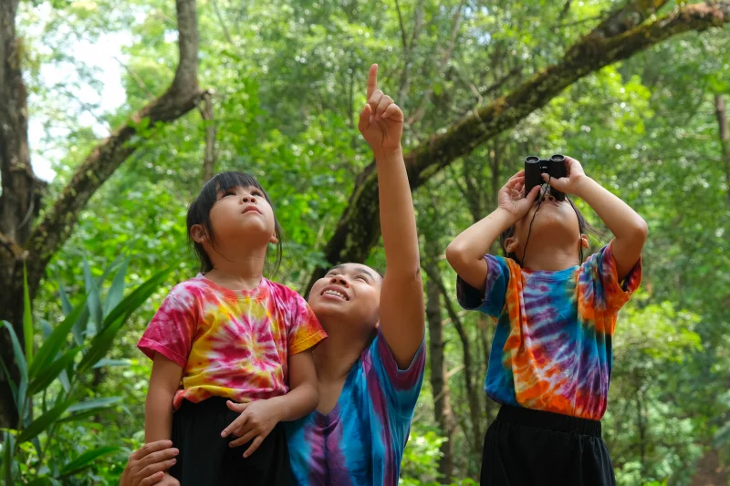 Birds & Binoculars