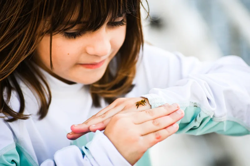 Honey, Honey Bees & Conservation with the KRVBA