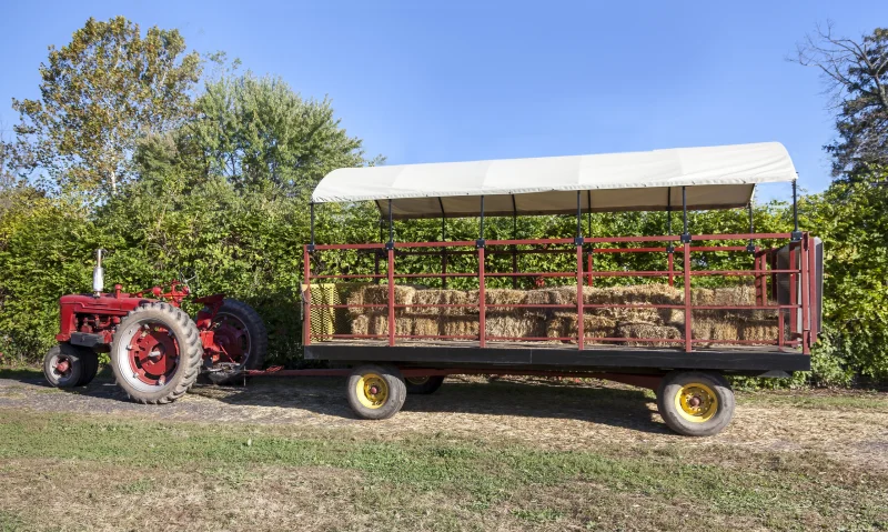 Carriage Ride