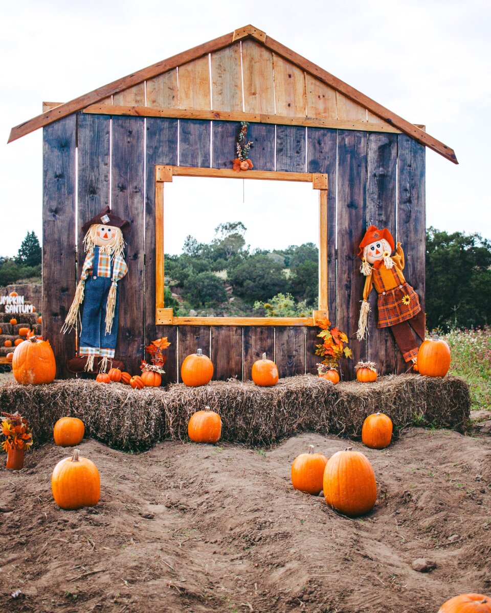 Fall Stroll & Scarecrow Festival @ Perry Farm Park
