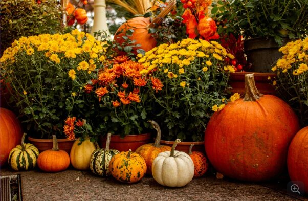 Additional Halloween Events