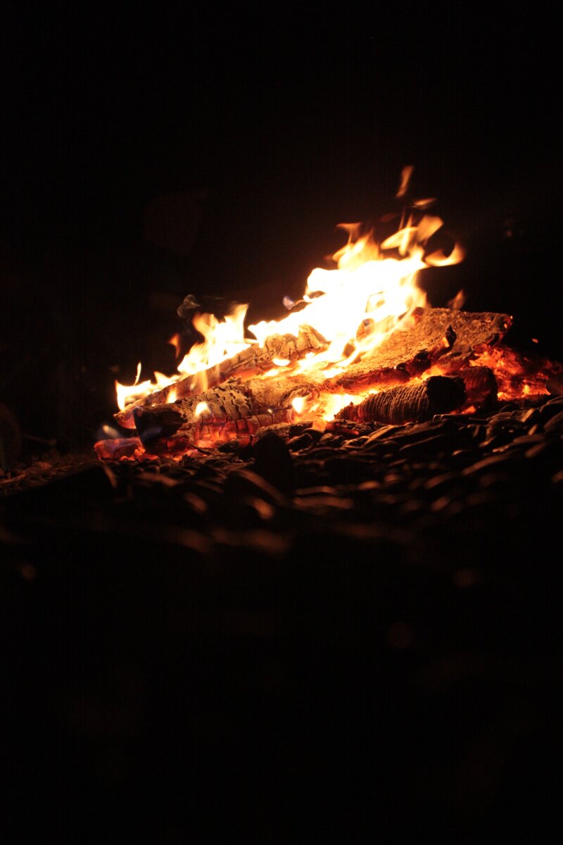 The Great Campfire Gathering