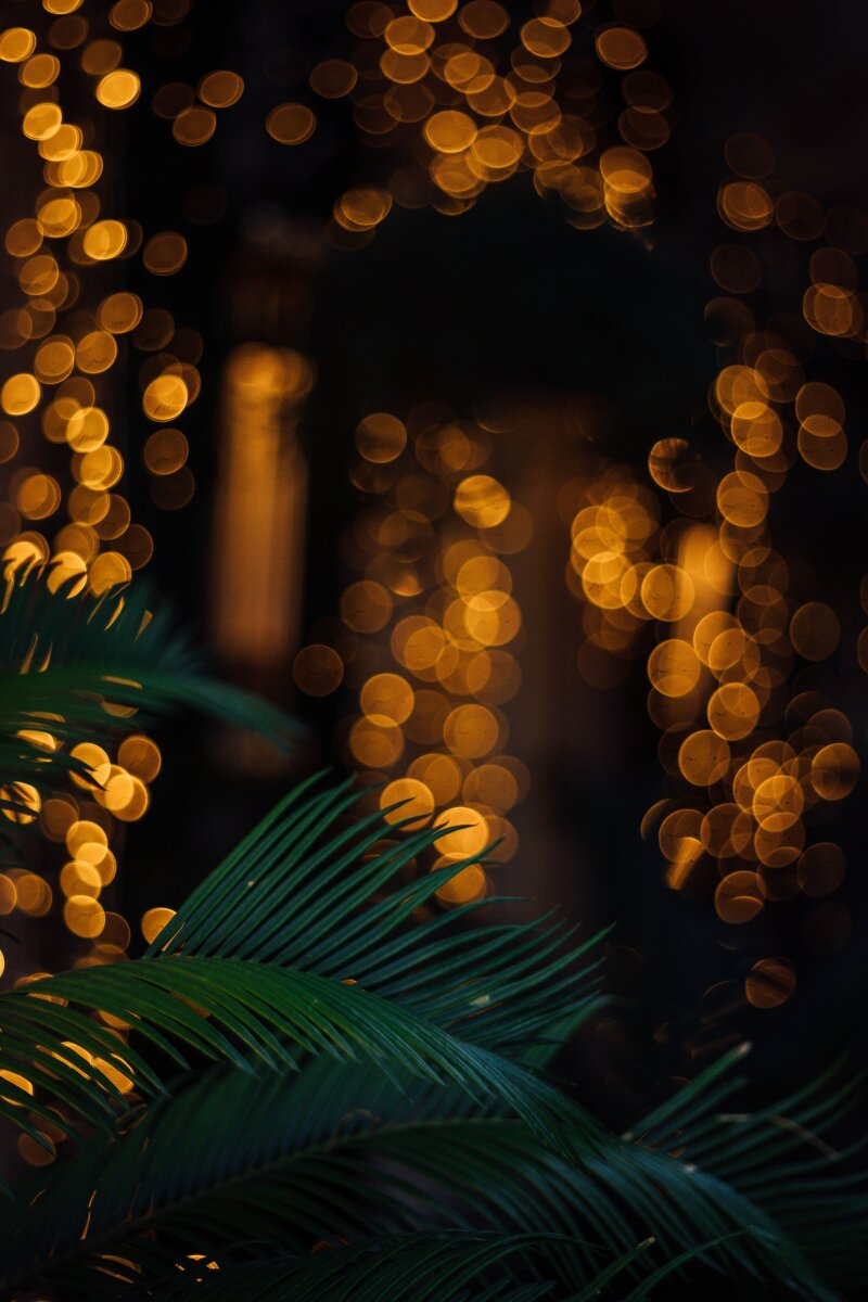 Botanic Garden Christmas Light Show
