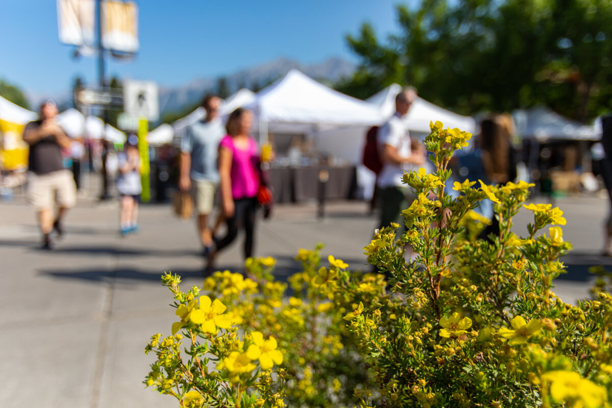 Manteno Farmer’s Market @ the Square