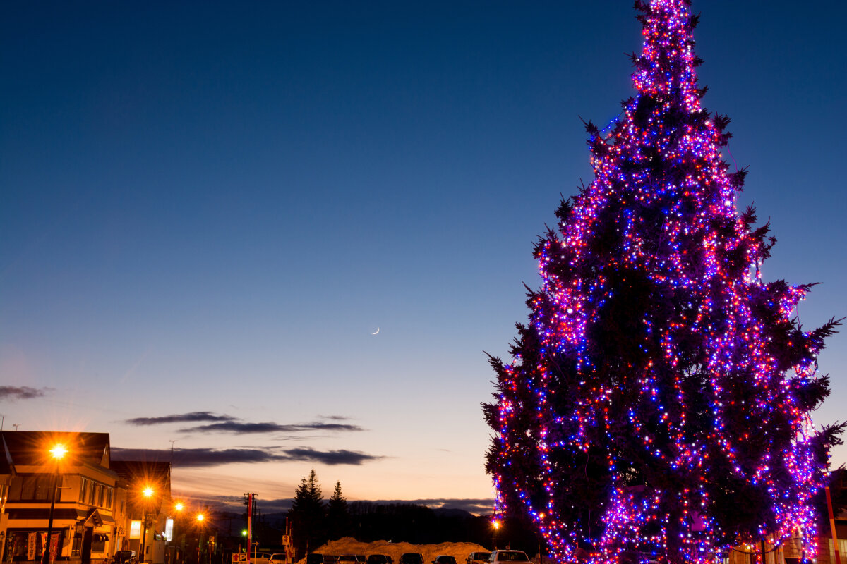Christmas Tree Lightings