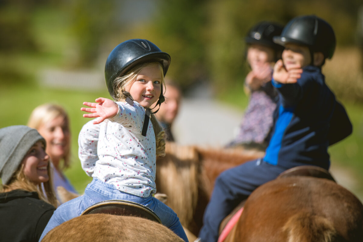 Horseback Riding Lessons