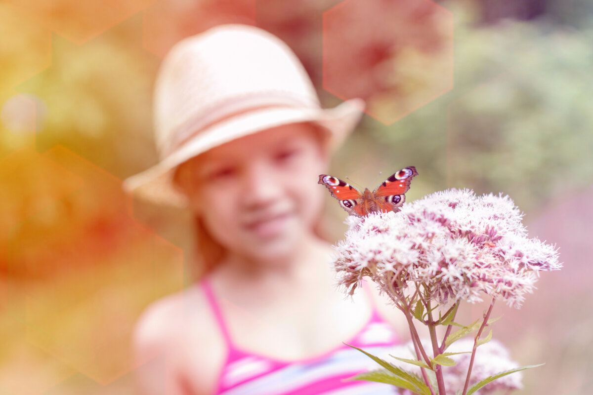 Butterfly Release Ceremony