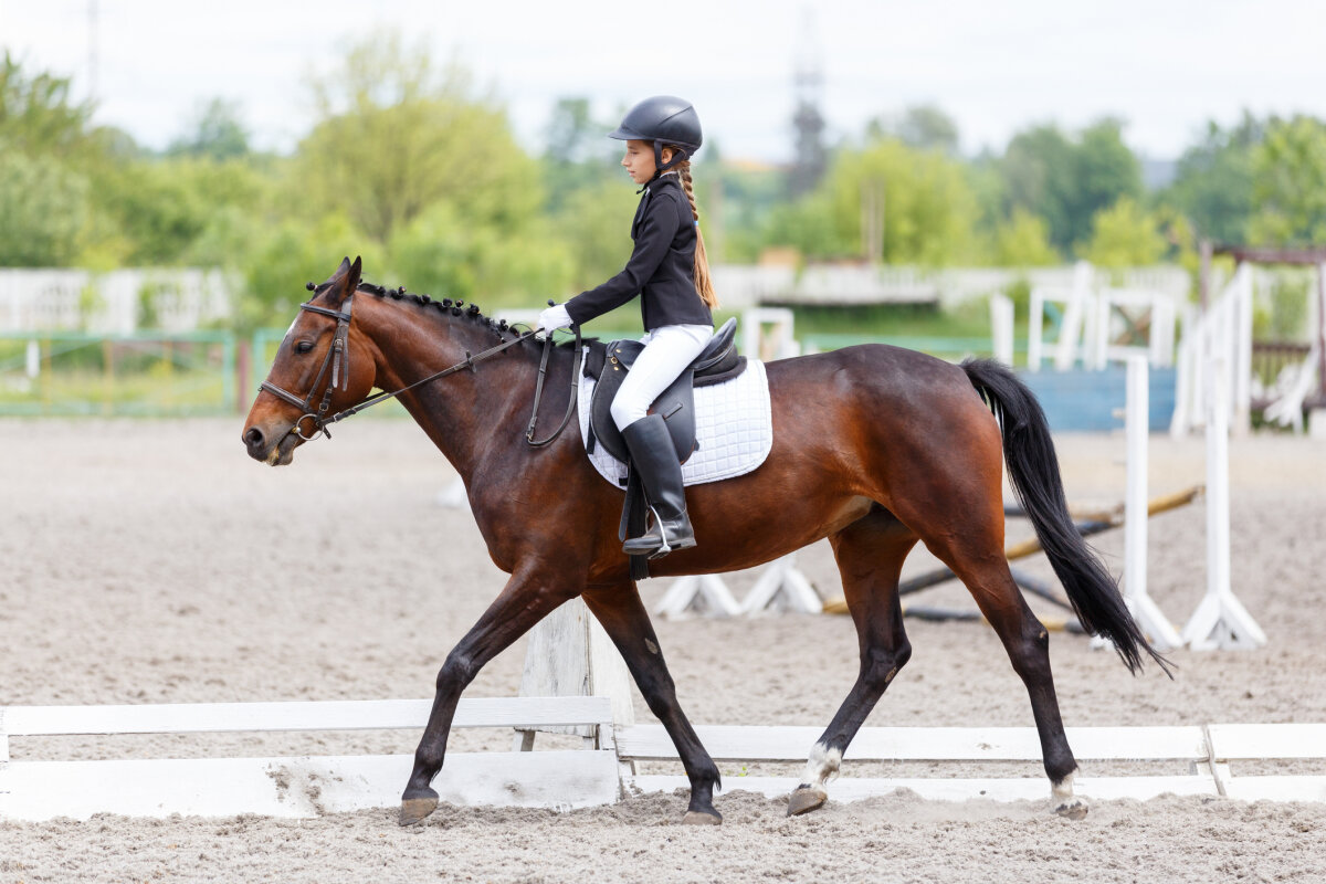 Horseback Riding Lessons